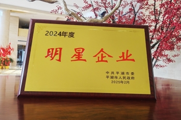 新春新景新气象 | 以诚为本赢在诚信9001在平湖三干大会上喜摘荣誉！